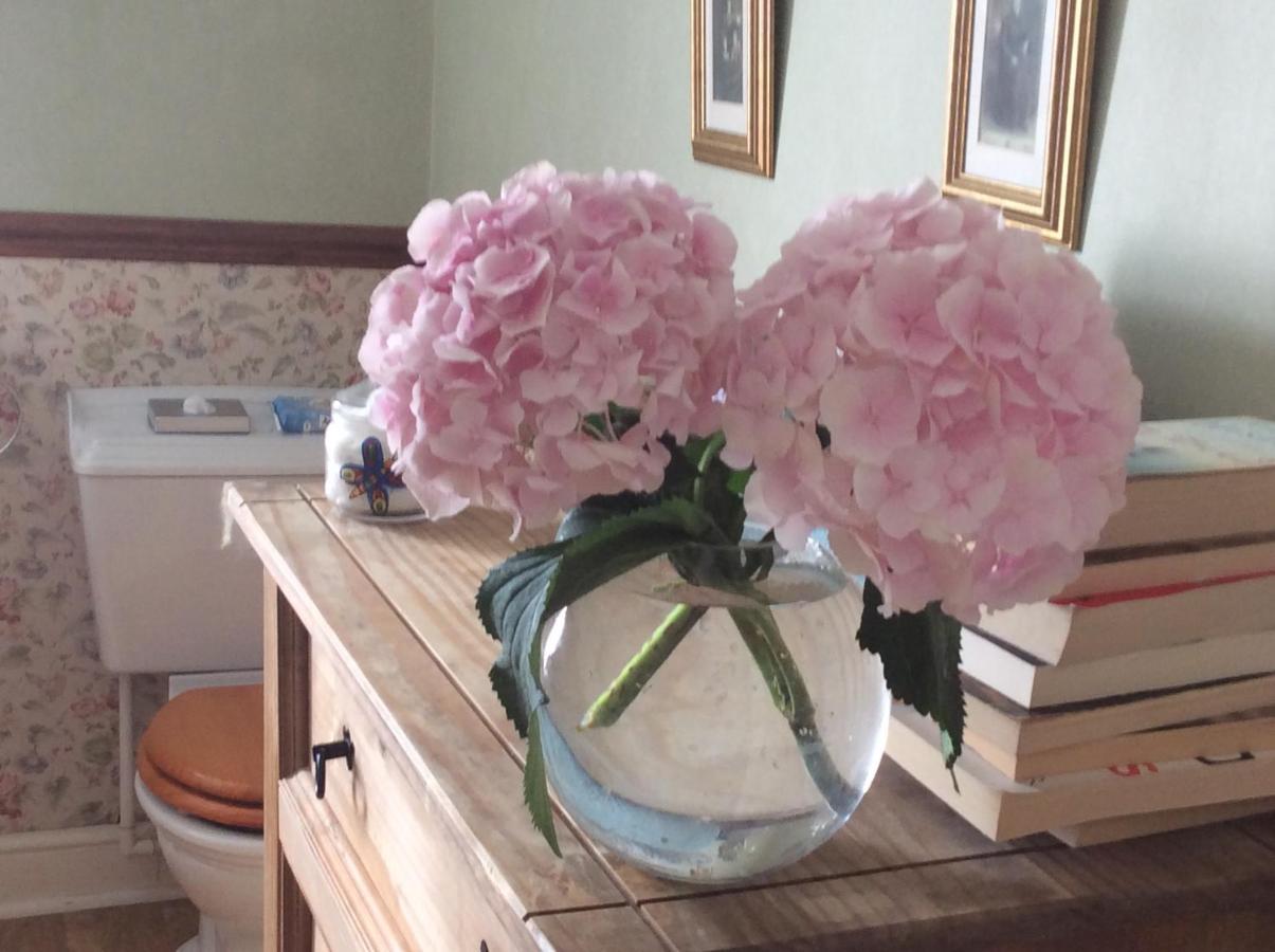 Rosebank Guest House Ίνβερνες Εξωτερικό φωτογραφία